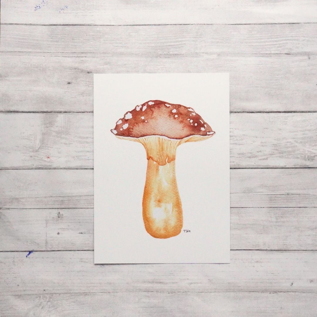 Vintage Watercolors Art Prints | Vintage Watercolors