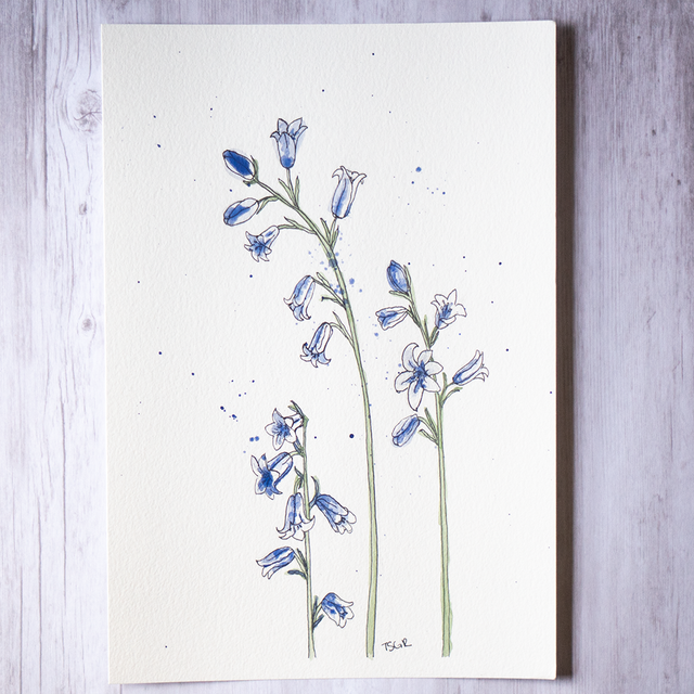 Originals | Vintage Watercolors